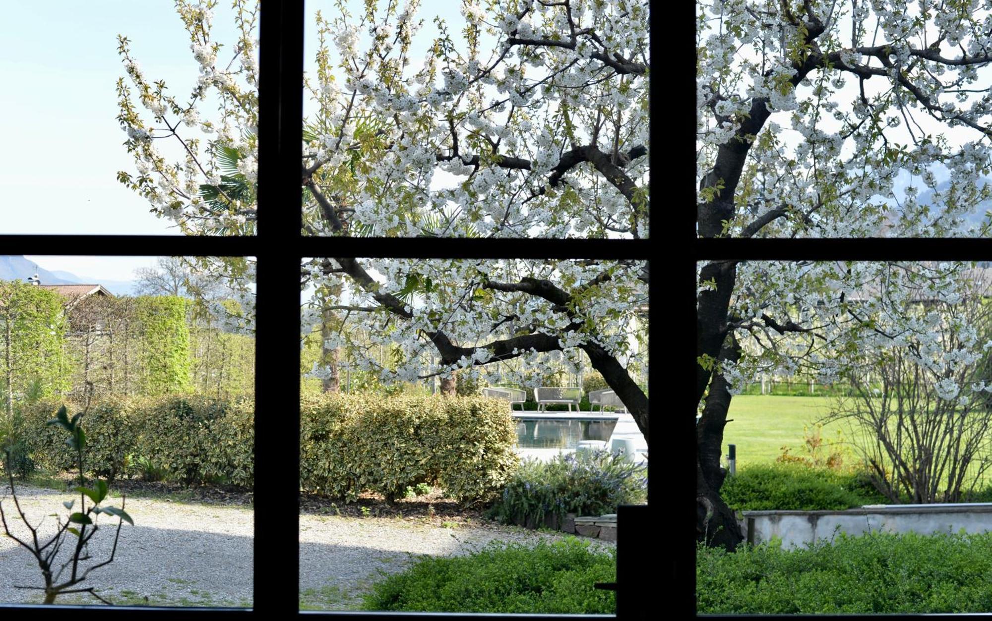 Haus Wiesenstein Lana Luaran gambar
